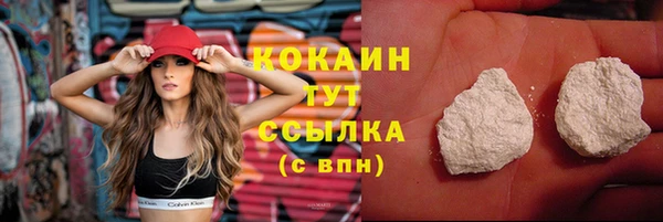ПСИЛОЦИБИНОВЫЕ ГРИБЫ Гусев