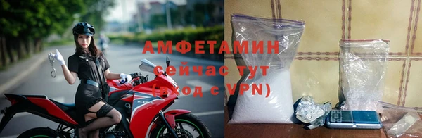 ПСИЛОЦИБИНОВЫЕ ГРИБЫ Гусев