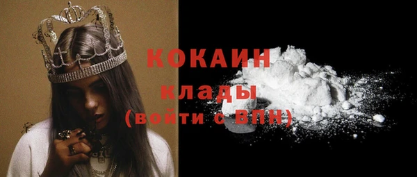 ПСИЛОЦИБИНОВЫЕ ГРИБЫ Гусев