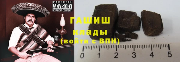 ПСИЛОЦИБИНОВЫЕ ГРИБЫ Гусев