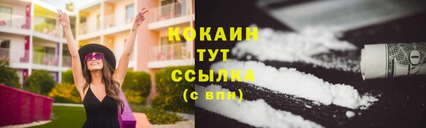 ПСИЛОЦИБИНОВЫЕ ГРИБЫ Гусев