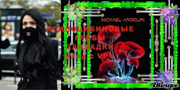 ПСИЛОЦИБИНОВЫЕ ГРИБЫ Гусев