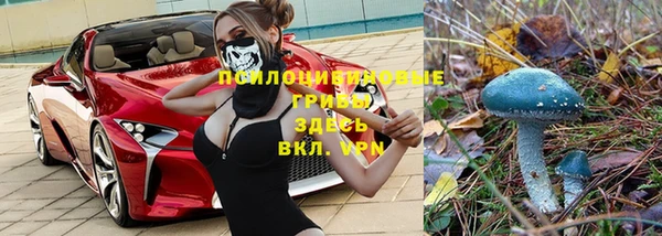 скорость Гусь-Хрустальный