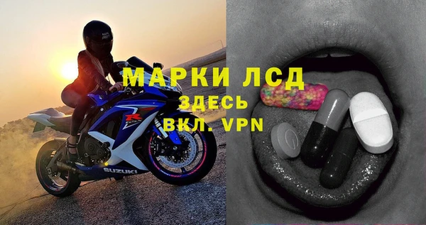 ПСИЛОЦИБИНОВЫЕ ГРИБЫ Гусев