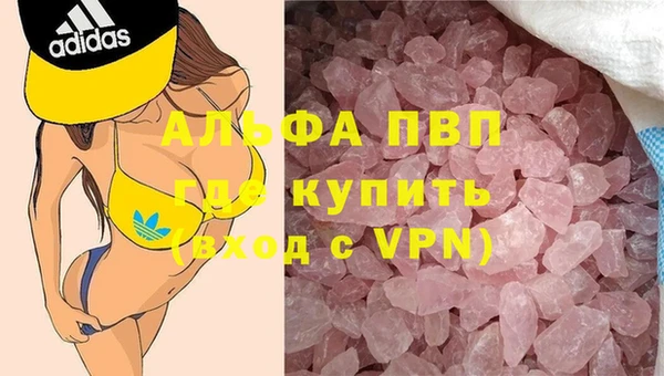 ПСИЛОЦИБИНОВЫЕ ГРИБЫ Гусев