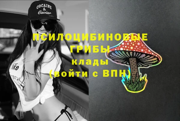 скорость Гусь-Хрустальный