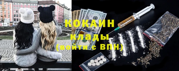 ПСИЛОЦИБИНОВЫЕ ГРИБЫ Гусев