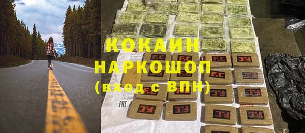 ПСИЛОЦИБИНОВЫЕ ГРИБЫ Гусев