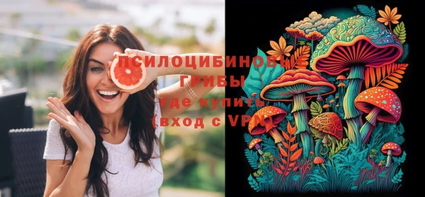 скорость Гусь-Хрустальный