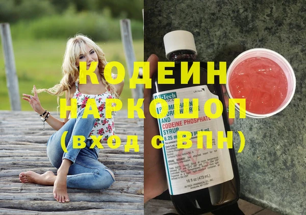ПСИЛОЦИБИНОВЫЕ ГРИБЫ Гусев